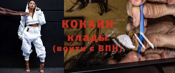 прущие грибы Нефтекумск