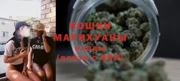 прущие грибы Нефтекумск