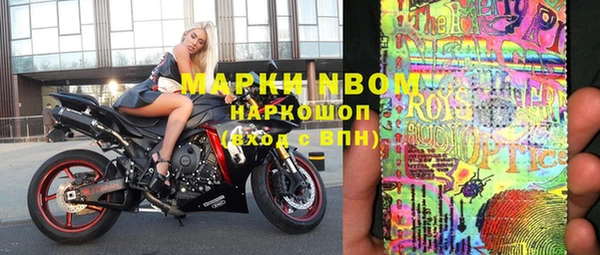 прущие грибы Нефтекумск