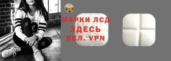 прущие грибы Нефтекумск