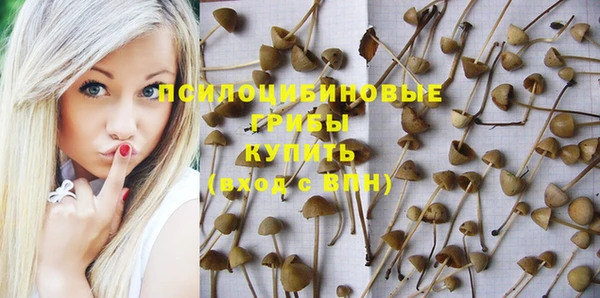 меф Новозыбков