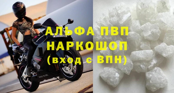прущие грибы Нефтекумск