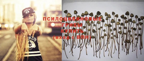 стафф Нея